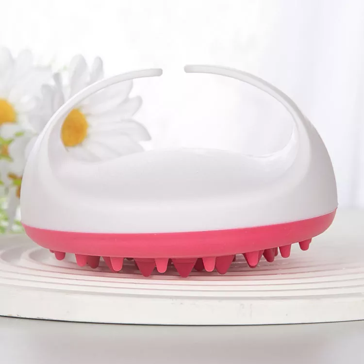 Quid scias ante electa perfecta Bathonia Peniculus